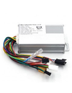 CONTROLADORA SMARTGYRO BAGGIO 2