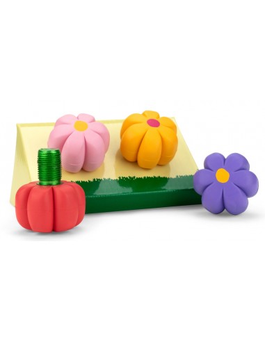 PETALOS FRENOS MOXI