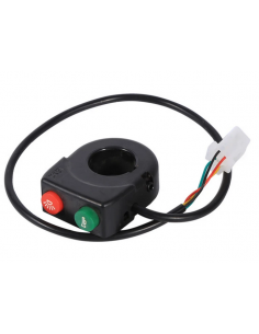 BOTON LUZ Y CLAXON 2