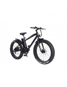 BICICLETA ELÉCTRICA SKATEFLASH E-BIKE URBAN FAT