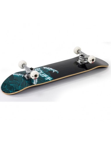 SKATE ENUFF BIG WAVES COMPLETE SKATEBOARD