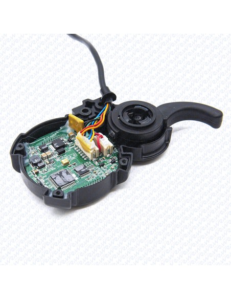 DISPLAY EY3 MINIMOTORS
