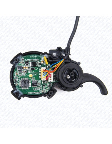 DISPLAY EY3 MINIMOTORS