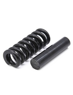 SUSPENSION MINIMOTORS - ORIGINAL DUALTRON MINI