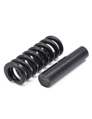 SUSPENSION MINIMOTORS - ORIGINAL DUALTRON MINI