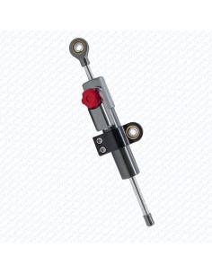 SUSPENSION DE DIRECCION MINIMOTORS - ORIGINAL DUALTRON... 2