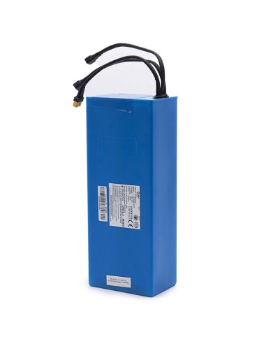 BATERIA 48V 13Ah CELDAS EVE