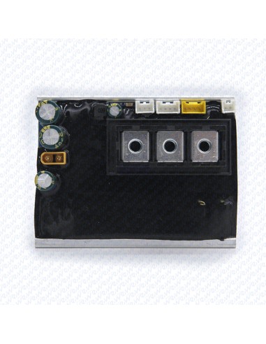 CONTROLADORA NINEBOT F20, F25 Y D18