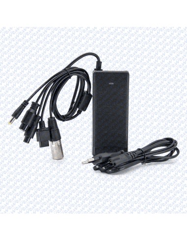 CARGADOR 48V 2A CONECTOR GX16/GX12/DC5,5mm/XLR/NIU