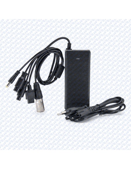 CARGADOR 48V 2A CONECTOR GX16/GX12/DC5,5mm/XLR/NIU
