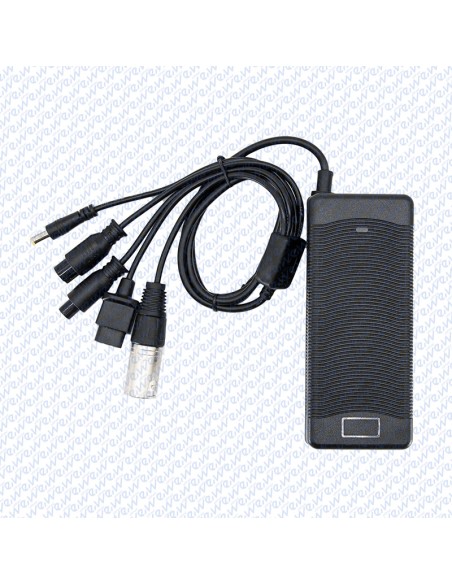 CARGADOR 48V 2A CONECTOR GX16/GX12/DC5,5mm/XLR/NIU