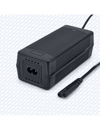 CARGADOR 48V 2A CONECTOR GX16/GX12/DC5,5mm/XLR/NIU