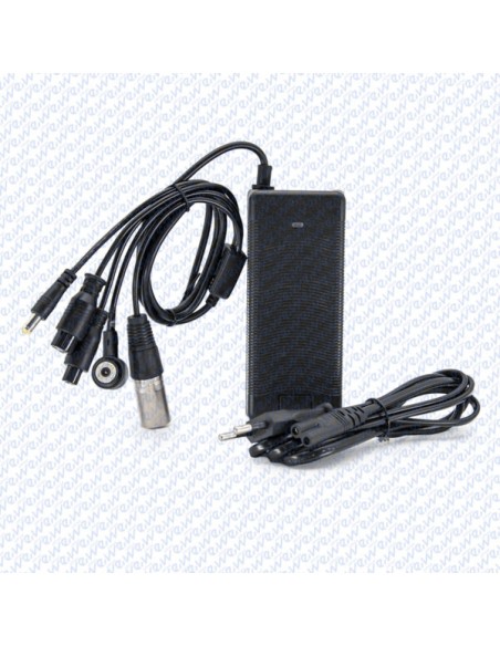 CARGADOR MULTIUSOS 36V 2A CONECTOR GX16/GX12/DC5,5mm/DC8mm/Magnético Mi4pro