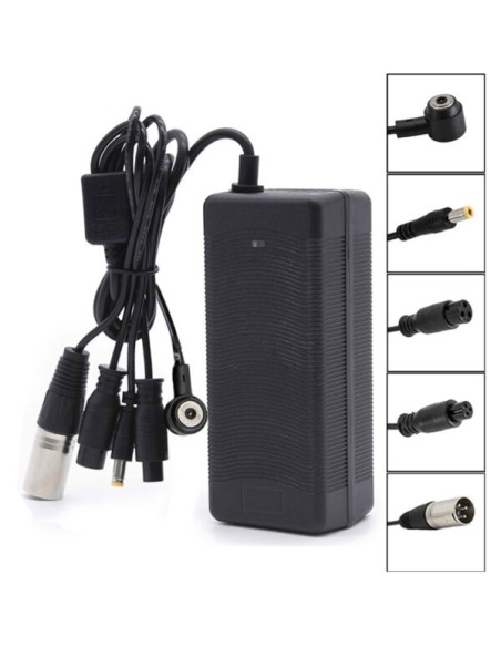 CARGADOR MULTIUSOS 36V 2A CONECTOR GX16/GX12/DC5,5mm/DC8mm/Magnético Mi4pro