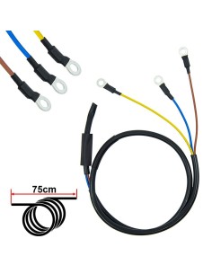 CABLE MOTOR NINEBOT SERIE F/ D