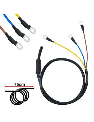 CABLE MOTOR NINEBOT SERIE F/ D