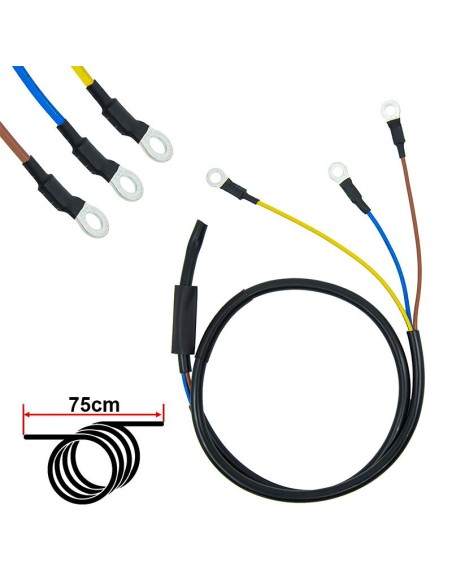 CABLE MOTOR NINEBOT SERIE F/ D