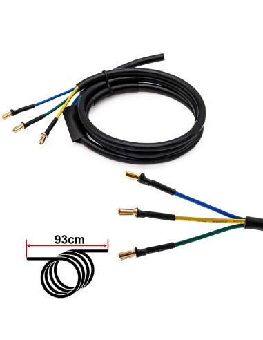 CABLE DE MOTOR 1200W PARA DUALTRON MINI