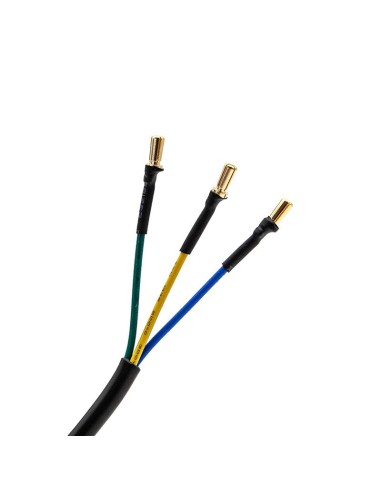 CABLE DE MOTOR 1200W PARA DUALTRON MINI