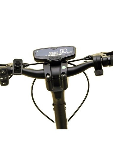 DISPLAY SMARTGYRO K2 4 PINES