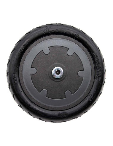 MOTOR 36V 300W 6,1/B34 NEGRO XIAOMI