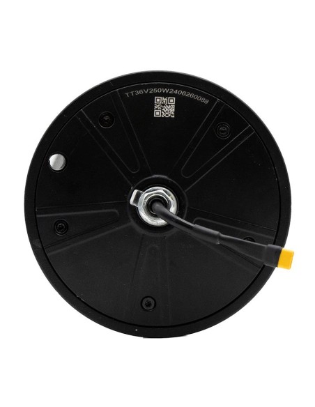 MOTOR 36V 250W ORIGINAL WISPEED T850