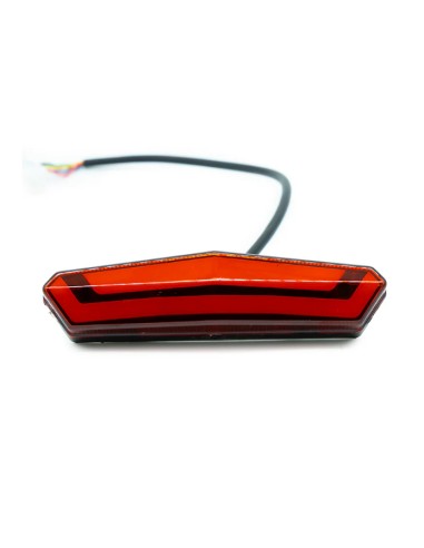LUZ TRASERA KUKIRIN G2/G4