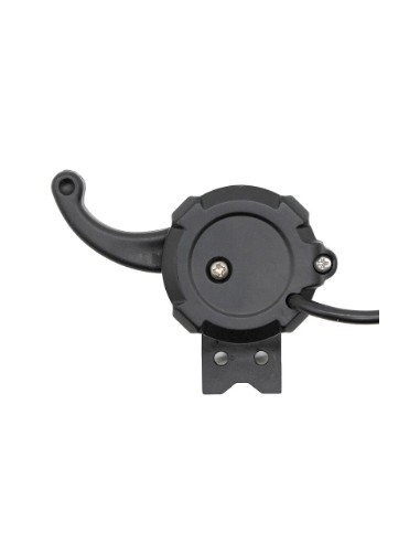 ACELERADOR DUALTRON POP (MINIMOTORS)