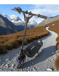 PATINETE ELÉCTRICO ROVORON R7 DGT