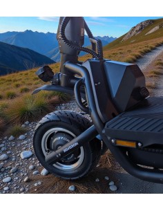 PATINETE ELÉCTRICO ROVORON R7 PRO DGT 2