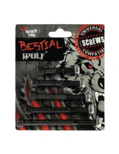 Conjunto 5 tornillos variados TOR45100