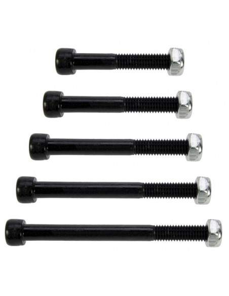 Conjunto 5 tornillos variados TOR45100