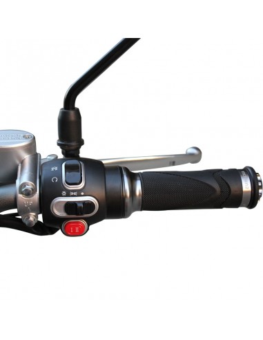 MOTO ELECTRICA REPARTO EURECKA