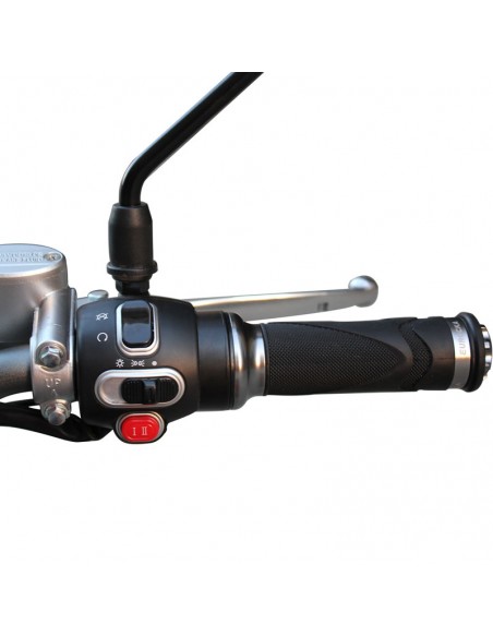 MOTO ELECTRICA REPARTO EURECKA
