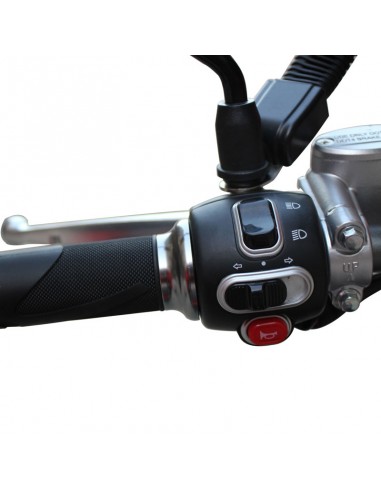 MOTO ELECTRICA REPARTO EURECKA