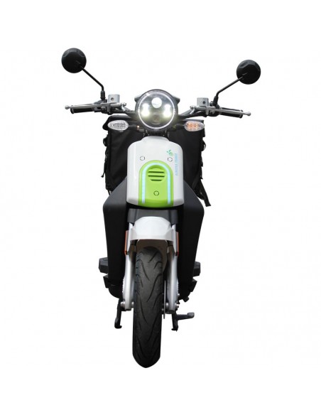MOTO ELECTRICA REPARTO EURECKA