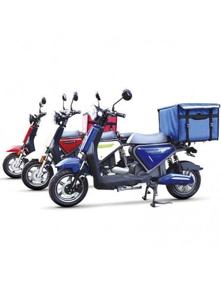 MOTO ELECTRICA REPARTO EURECKA