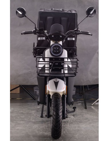 MOTO ELECTRICA DE REPARTO LARK