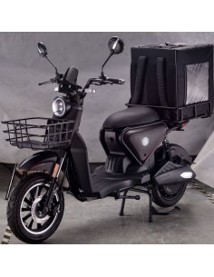 MOTO ELECTRICA DE REPARTO LARK 2